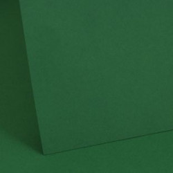 A4 160gsm Crafting card in Mid Green