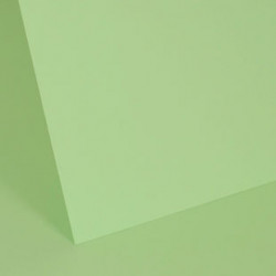 Pastel Green 160gsm double...